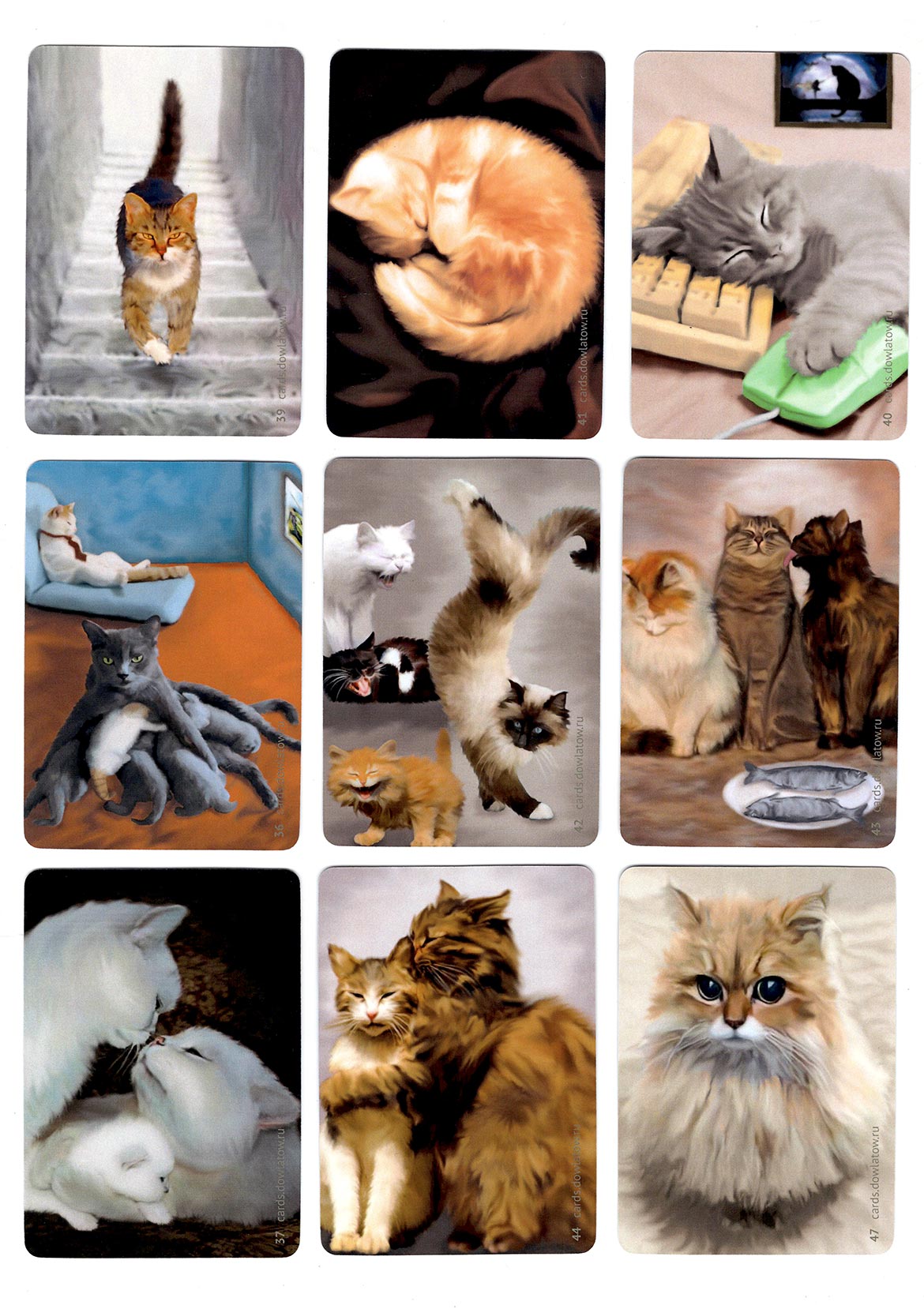 Метафорические ассоциативные карты "Котомоции" (CatMotions)