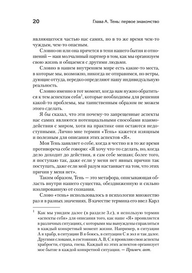 Тень. Наш молчаливый спутник на жизненном пути - cogito-shop.com