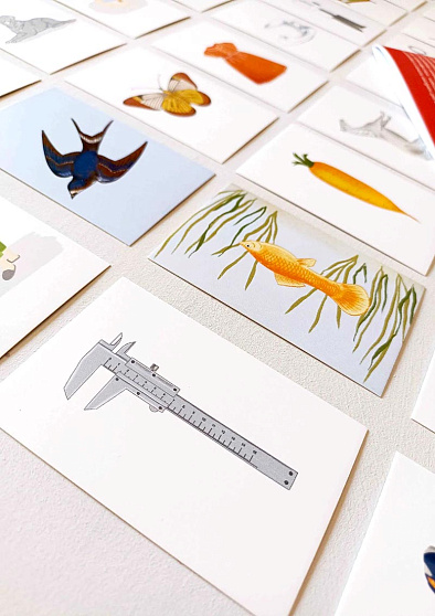 Методика "Классификация предметов" для взрослых и детей от 8 лет - cogito-shop.com