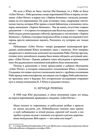 В поисках корней. К. Г. Юнг и традиция гнозиса - cogito-shop.com