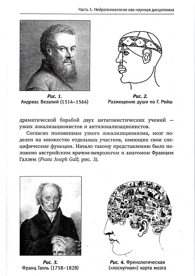 Нейропсихологическая диагностика: вопросы и ответы