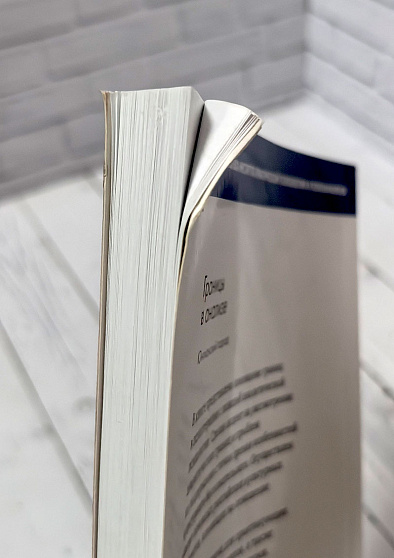 Границы в анализе: Юнгианский подход (уценка) - cogito-shop.com