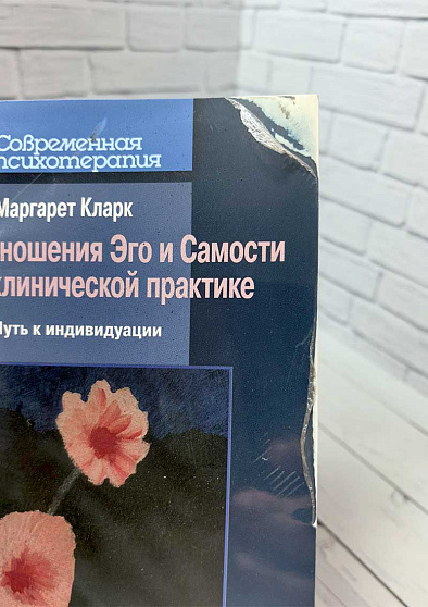 Отношения Эго и Самости в клинической практике: путь к индивидуации. Новое издание (уценка) - cogito-shop.com