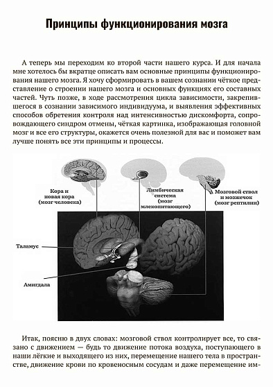 Психотерапия зависимостей - cogito-shop.com