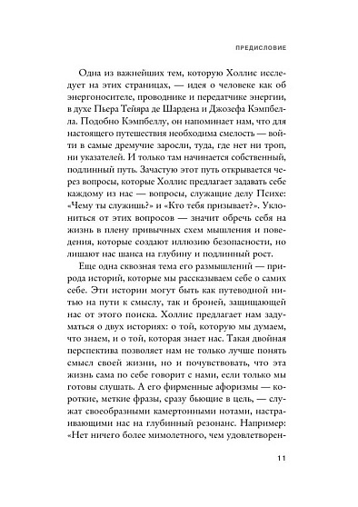 Заблуждения убеждений. Услышать зов души в мире, одержимом счастьем - cogito-shop.com