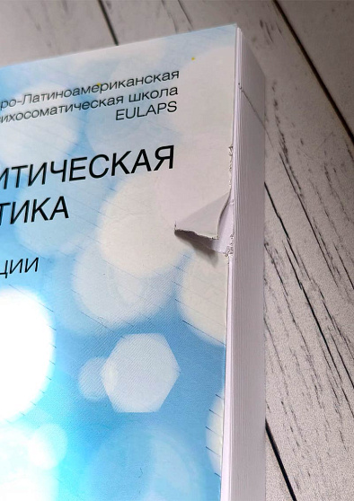Психоаналитическая психосоматика. Рабочие концепции психосоматики (уценка) - cogito-shop.com