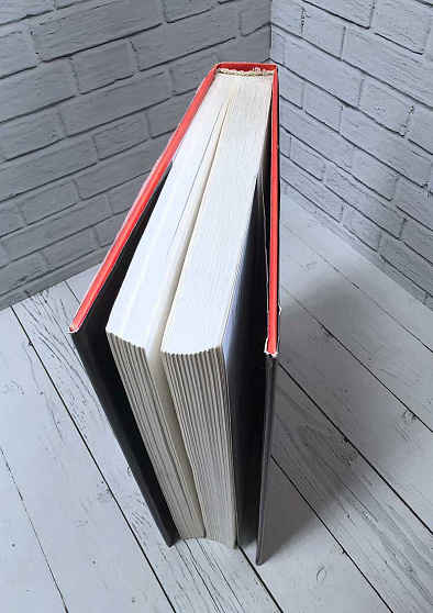 Энциклопедия глубинной психологии. Т. 4. Индивидуальная психология. Аналитическая психология. Карл Густав Юнг и Альфред Адлер (букинист) - cogito-shop.com