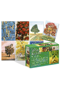 Метафорические ассоциативные карты «Древо жизни. Для поиска выхода из трудной жизненной ситуации» NEW