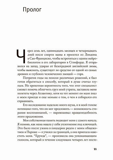 Средство от горя - cogito-shop.com