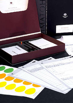 Тест Торренса – диагностика творческих способностей