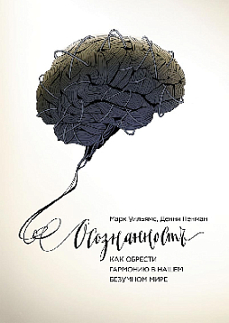 Осознанность: как обрести гармонию в нашем безумном мире (букинист)