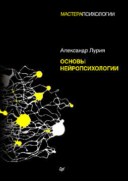 Основы нейропсихологии