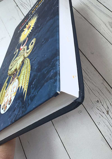 Хаос и космос в ментальности субъекта (уценка) - cogito-shop.com